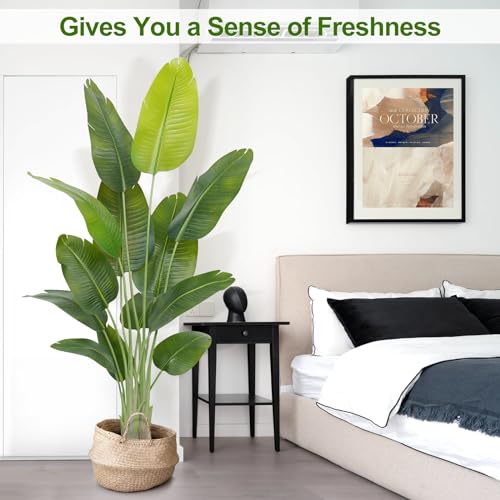 Image of Lifelike Bird of Paradise Artificial Plant,6ft Faux Banana Leaf Tree with 13 Trunks - Perfect Indoor Silk Floor Plant for Home Decor in Living Room, Office, and Bedroom(Set of 2)