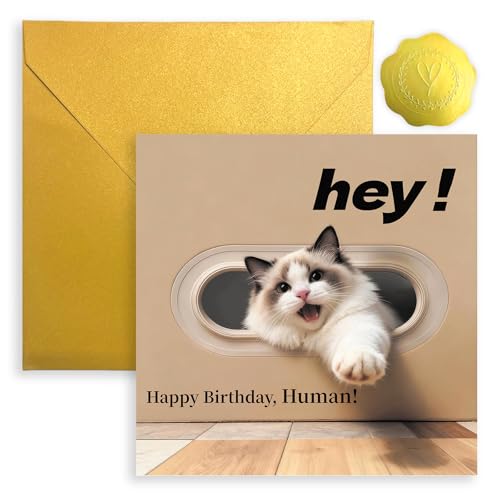 Hilarious Funny Birthday Card for Cat Owner Parents Cat Birthday Card
