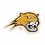 Averett Cougars Primary