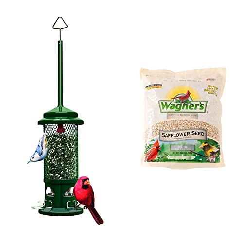 Squirrel Buster Standard Squirrel-Proof Bird Feeder w/4 Metal Per...