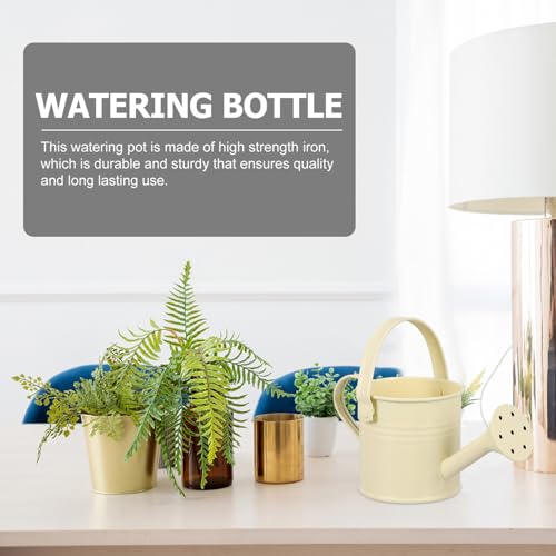 Kisangel 10Pcs Regador de Metal para Aspersão Regador para Jardinagem Vaso de Água para Plantas de J