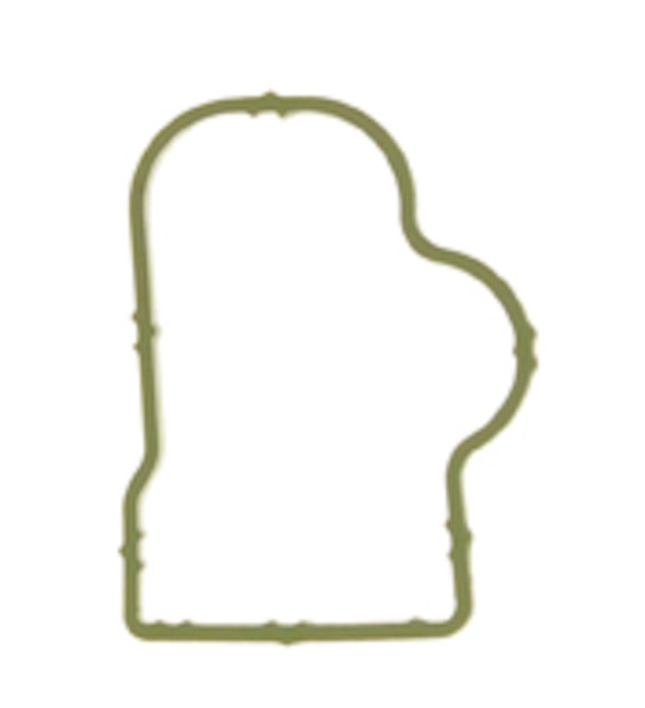 Ajusa 13212500 Gasket intake manifold