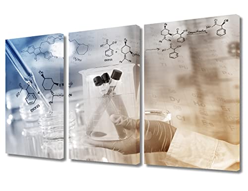 Image of TUMOVO Scientist Hand Holding Test Tubes Laboratory Research Wall Art 3 Panel Medical Artwork Wall Decor for Living Room, Bedroom, Bathroom, Office. Framed Ready to Hang (36 inch Wx24 H)