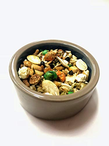 Birds LOVE All Natural Garden Blend Bird Food for Conures - Sunflower Free 2lb - Image 6