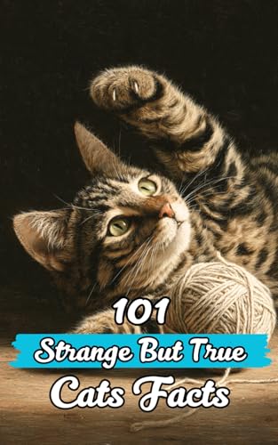 101 Strange But True Cats Facts: Incredible and Surprising Facts