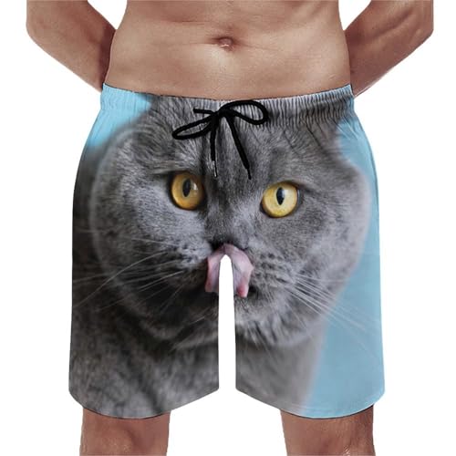 Maillot de bain séchage rapide short de bain homme chat gras motif imprimé fun