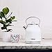 Haden Heritage 1.7 Liter Stainless Steel Electric Kettle, Hot Water Kettle with 360-Degree Base and Auto Shutoff, Ivory & Chrome