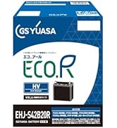 Amazon.co.jp: GSユアサ (ジーエスユアサ) ER M-55 (M-42互換