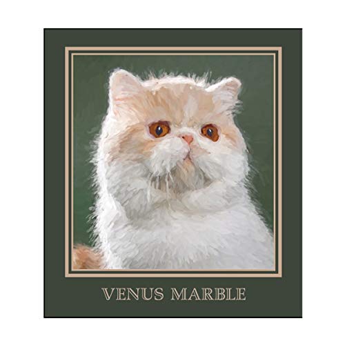 Venus Marble  アイシャドウキャットシリーズ
