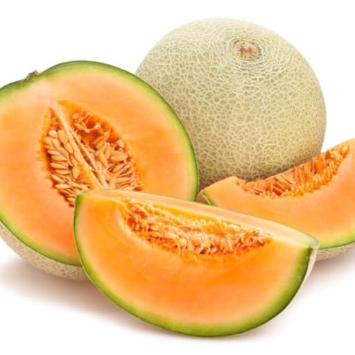 See full amazon price history chart for Agrey Muskmelon Fruit Seeds (Orange, Pack of 30 Seeds) Agrey Muskmelon Fruit Seeds (Orange, Pack of 30 Seeds) (B0CZ9CXVB1) Amazon Price History, Amazon Price Tracker