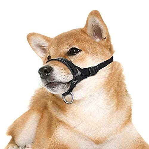 Dog Muzzle For Small, Medium, Large Dogs Prevent From Biting, Barking And Chewing, Adjustable Loop (M/Black) #TOP4
