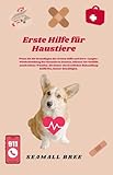 Erste Hilfe für Haustiere: Wenn Sie die Grundlagen der Ersten Hilfe und Herz-Lungen-Wiederbelebung bei Haustieren kennen, können Sie Notfälle sowie kleine Wunden, die keiner tierärztlichen Behandlun