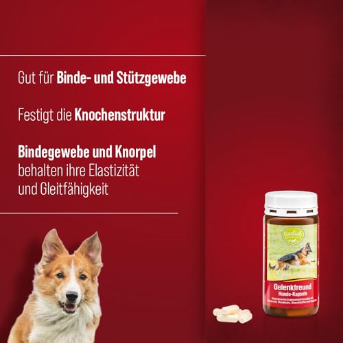 tierlieb Gelenkfreund Hunde-Kapseln mit Calcium, Magnesium, Glucosamin & Chondroitin 130 Kapseln