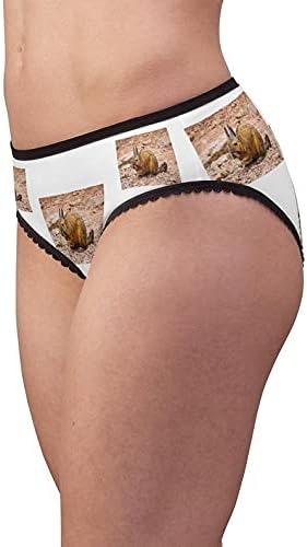 Southern Viscacha Panties, Southern Viscacha Underwear, Briefs, Cotton Briefs, Funny Underwear, Panties For Women