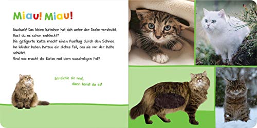 Hör mal rein, wer kann das sein? – Kuschelige Tiere: Streicheln und hören | Hochwertiges Pappbilderbuch mit 5 Sounds und Fühlelementen für Kinder ab 6 Monaten