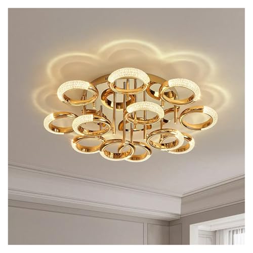 Luxury Ceiling Light Modern Room Lighting Simple Ceiling Lamps, Industrial(Cold
