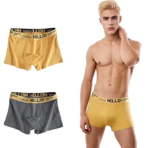 Organic Cotton Underwear Men Casual Shorts Underwear Breathable Stretch Underwear Cute Sports Underwear