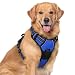 Rabbitgoo No Pull Dog Harness Pet Vest Harness with Handle Adjustable Dog Padded Harness Reflective Mesh Lightweight Dog Harness for Outdoor Training Walking (Blue, XL)