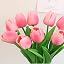 12pcs-rose Red