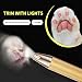 Dog Clippers and Paw Trimmer Kit, Pomeranian Corgi Low Noise Cordless Dog Clippers for Grooming Pet Hair Trimmers for Small Cats Animals, with LED, USB Rechargeable Professional Pet Grooming Kit