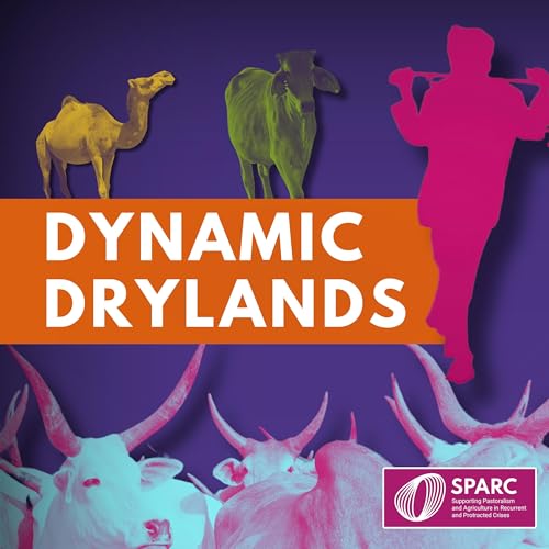 Dynamic Drylands cover art