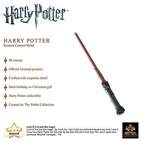 The-Harry-Potter-Remote-Control-Wand