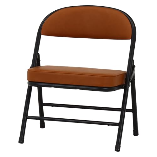 ܂肽݃Ch`FA-L43cm y2.8kg qpNbV`FA i ܂肽݈֎q  ubN uE O[(Ch U[uE)