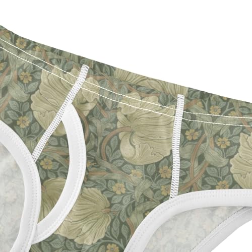 Boys' Exclusive Briefs Toddler Underwear 95% Combed Cotton Boxerbriefs 2T Floral Pattern 594