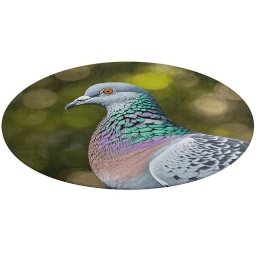 Tapis rond doux absorbant antidérapant motif pigeon gris salon