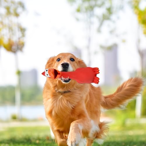 Quietschendes Hundespielzeug Tukan Gummihuhn - Leicht Zu Klingen, Beiß- Und Verschleißfest Aus Latex Für Große Und Kleine Hunde (Rot)