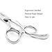 Professional Hair Shears 6