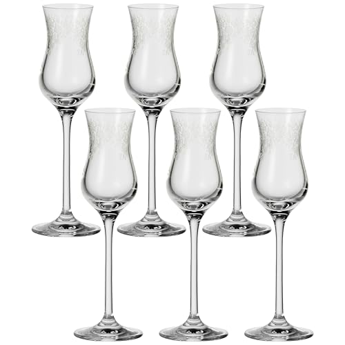 Leonardo Chateau Grappa-Glas, Schnaps-Glas mit gezogenem Stiel, spülmaschinenfeste Digestif-Gläser, 6er Set, 9 cl, 061594