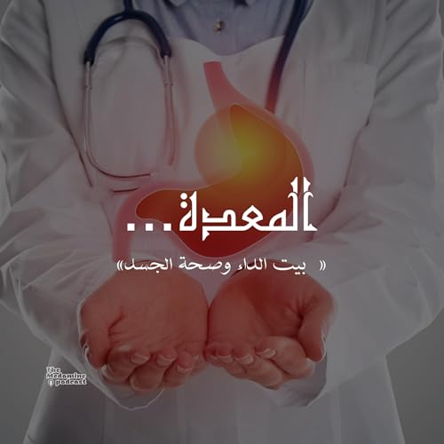 المعدة