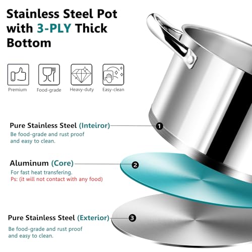 MARMITE DE CUISSON 8L Résistante à La Chaleur, Faite à La