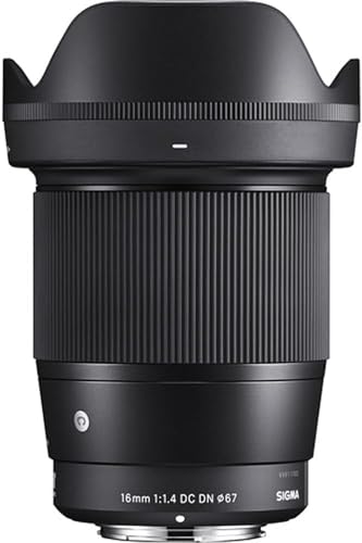 Sigma 14-24mm lens