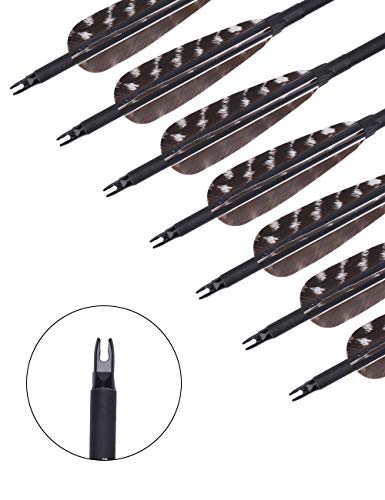 image for PANDARUS Archery 31-Inch Carbon Hunting Arrows, Turkey Feather Fletchi
