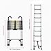 Telescopic Aluminum Alloy Extension Ladder with Hooks, Folding Multi Purpose Attic Loft RV Roof Access, Anti Slip Feet, Safety Locking Steps, Compact Lightweight Home Outdoor Work Tool (Silver,9.5FT)
