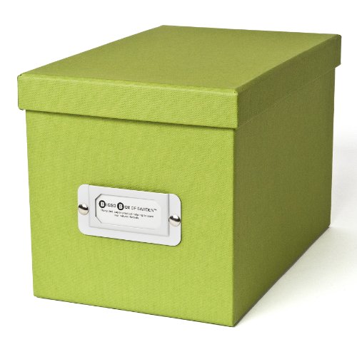 Bigso Kristina DVD/CD Box, Green