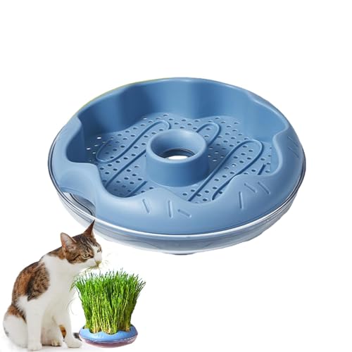 Generisch Katzengras-Schale für Verdauungsunterstützung