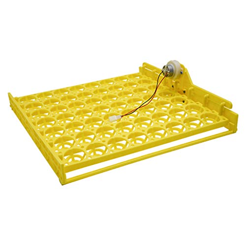 yotijar Bandeja para virar ovos 48-154 para pássaros, ovos, acessórios, suprimentos amarelo - amarel