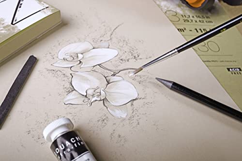 Clairefontaine 96541C Blocco Incollato di Carta da...