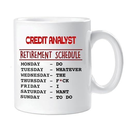 Retirement Planning in Ohio: Integrating IRAS With State-Specific Benefits 6 Retired Credit Analyst Appreciation Gift, Retirement Gifts for Credit Analyst Retirement Gift, Thank You coworker leaving Gift, farewell