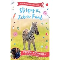Stripy the Zebra Foal