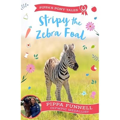 Stripy the Zebra Foal