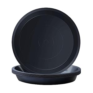 Kunjocy Set van 5 zwarte plantenschotels ronde plantenpotten trays plant plastic plaat pot lade voor tuin binnen buiten (zwart, 26 cm)