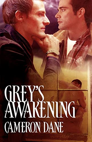 Grey's Awakening view 2