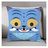 PRONENS.- Cojín K-Pop - Funda cojín Decorativo Coleccionable – Lavable sin Cremallera - Idea de Regalo K-Pop Fans - 40x40 (05)