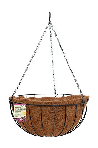 Smart Hanging Basket 12", Multi-Colour, JNS_461641
