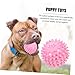 BESPORTBLE Round Pet Toy for Puppies Teething Chew Toy Spiked for for Active Dogs and Teething Puppies