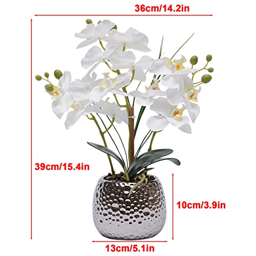 Fleurs de phalaenopsis pour table et salon de style moderne - 7